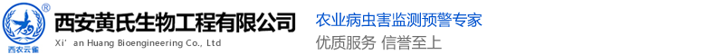 股票配资平台