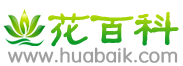 花百科