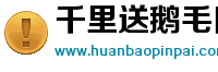 千里送鹅毛网