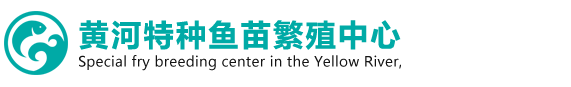 首页