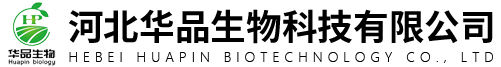首页
