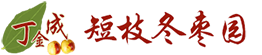 沾化短枝冬枣
