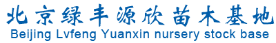 精品果树