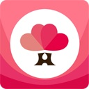 婚点点app