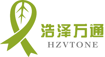 主页
