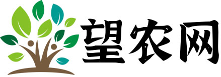 望农网