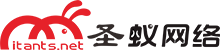 东莞市圣蚁网络有限公司，软件定制，小程序开发，响应式网站建设，SEO推广