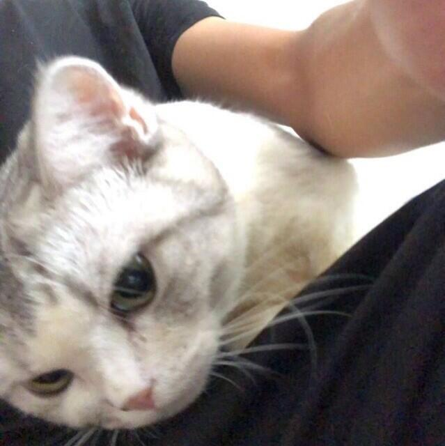 荔枝