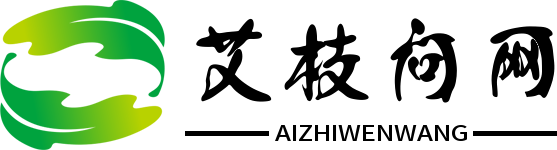 艾枝问网