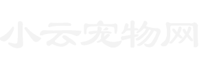 小云宠物网