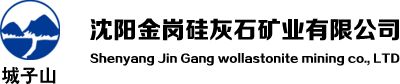 沈阳金岗硅灰石矿业有限公司