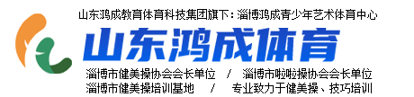 山东鸿成体育