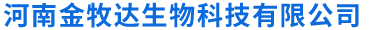 首页