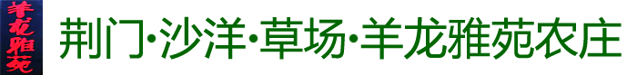 荆门沙洋羊龙雅苑农庄[官方网站],合力共创羊龙雅苑农庄,沙洋县草场羊龙雅苑农庄,荆门金键盘网络公司