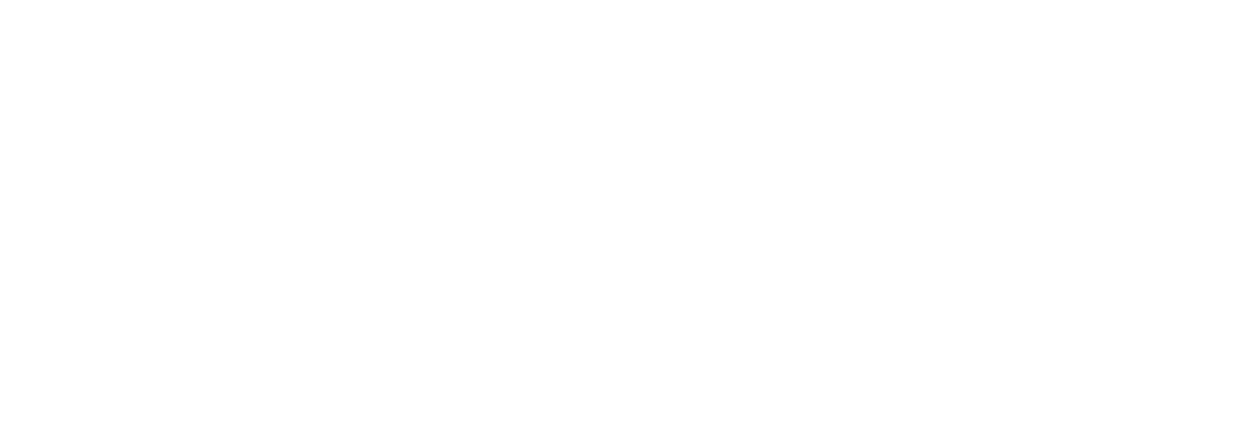 中鲨宠物