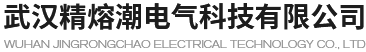 武汉精熔潮电气科技有限公司
