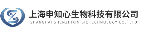 心肌病动物模型