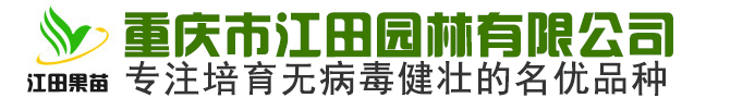 重庆水果苗木批发