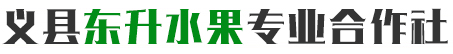 义县东升水果专业合作社