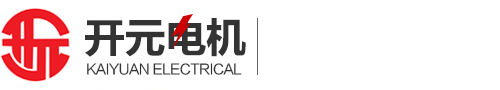山东开元电机有限公司