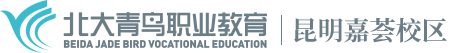 云南昆明北大青鸟学校