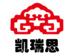 双锥回转真空干燥机