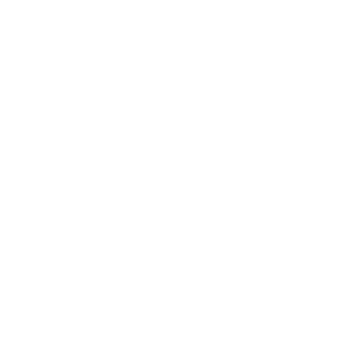 浪花日记