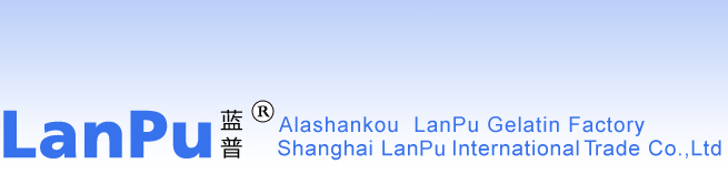 Shanghai