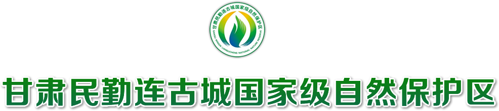 甘肃民勤连古城国家级自然保护区管护中心