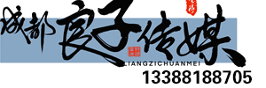 成都良子传媒，是一家专业从事大型演唱会，庆典晚会、公关策划、开业庆典，活动策划、