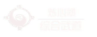 沈阳「合气道