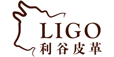真皮工艺