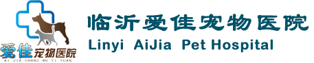 临沂宠物医院