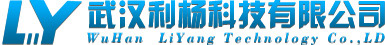 武汉利杨科技有限公司