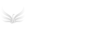 雷诺网