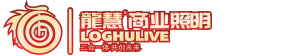 龙慧商业照明