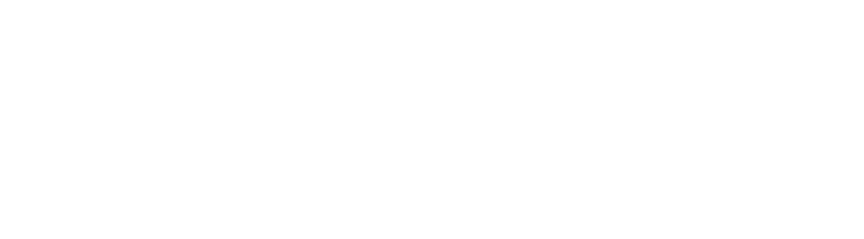 心之旅宠物