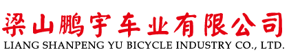 梁山鹏宇车业有限公司