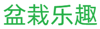 盆栽乐趣