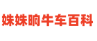 姝姝晌牛车百科