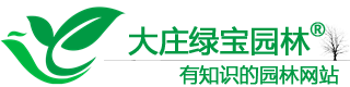 进口草坪种子