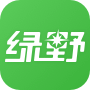绿野