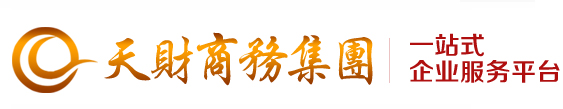 天才财务