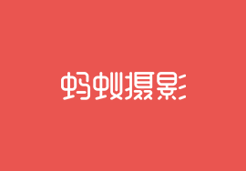 蚂蚁摄影