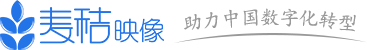麦秸映像网络技术有限公司,河南省政府采网入驻对接，新乡网站维护建设,小程序开发,APP定制开发,钉钉开发,新乡软件开发等相关网络业务