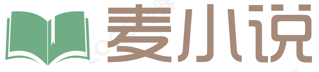 麦小说