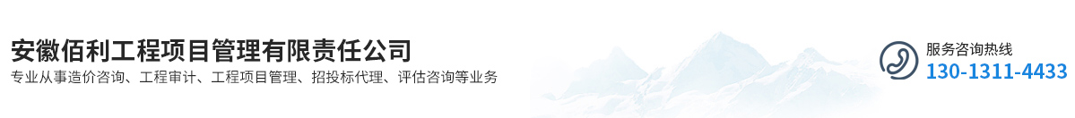安徽佰利工程项目管理有限责任公司