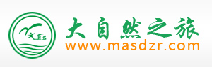 首页