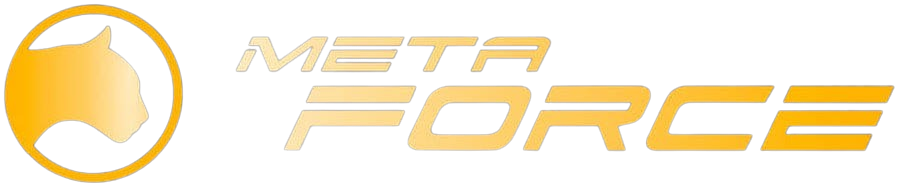 MetaForce原力元宇宙
