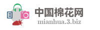 中国棉花网